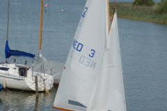 DSC_8296