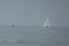 Paddy GBR9