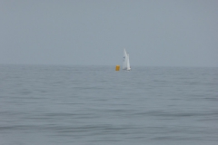 P1010631