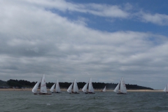 WSC goose winging formation wideer shot