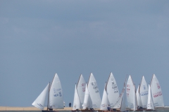 WSC lots of sails