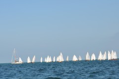 DSC_0576