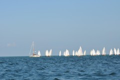 DSC_0577