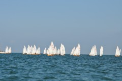 DSC_0579