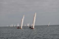 DSC_0521