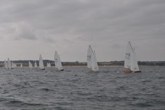 DSC_0553