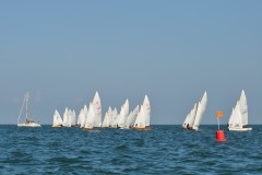 DSC_0582