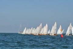 DSC_0586