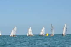 DSC_0737